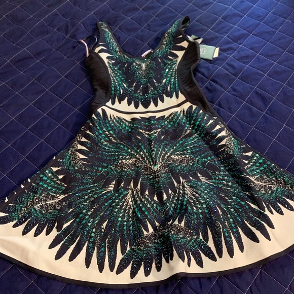 Herve Leger Dress - Picture 1 of 5